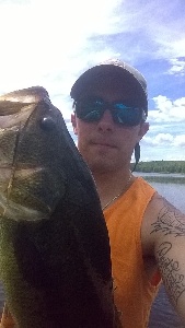 bigrigbassfish