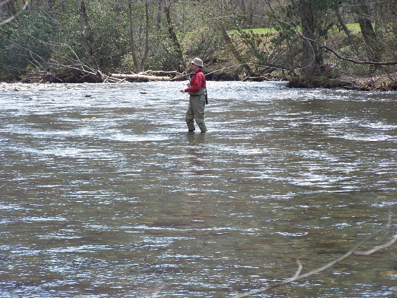 Oconaluftee River, GSMNP near Gatlinburg