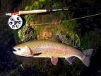 trout fishing near Gatlinburg