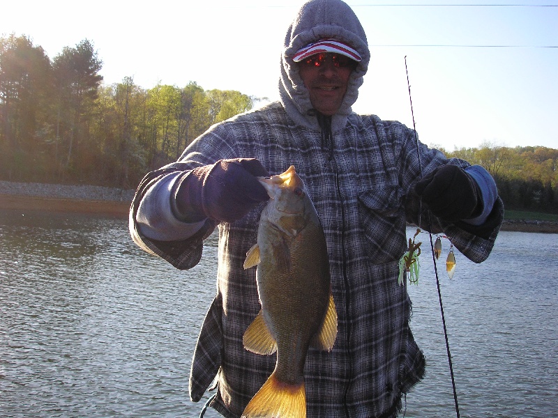 bronzback near Mount Carmel