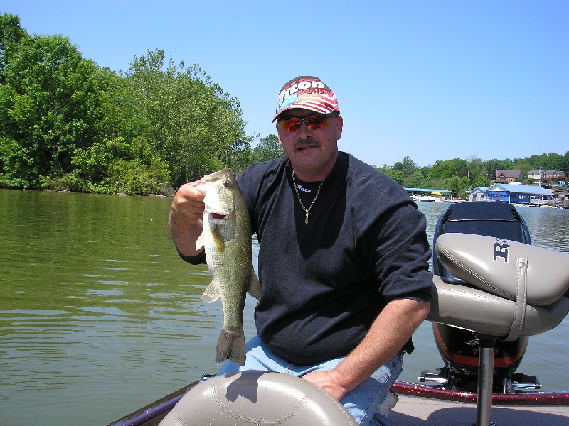 largemouth near Surgoinsville