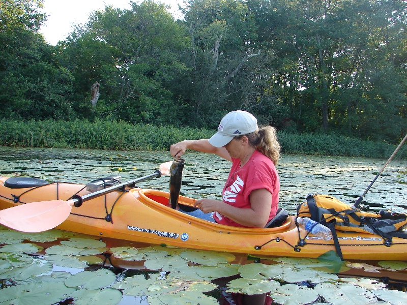 Bellvile pond