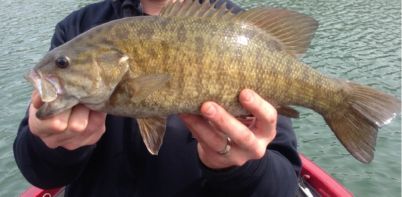 Rocky Top fishing photo 1