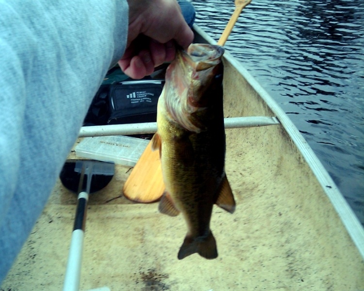 Lake Cochituate - Natick, MA