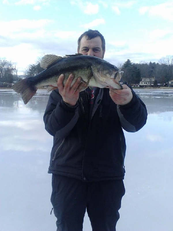 huge bass